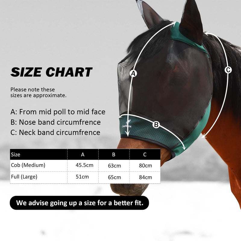 Horse Fly Mask Large Space Breathable UV Protection Equine Mask with Reflective Features on Ears Hunter Green L - PawsPlanet Australia