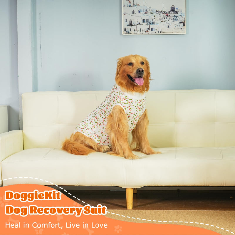 Dog Surgery Recovery Suit, Anti-Licking Postoperative Shirt for Female Spay Male Neuter, Breathable Onesie Soft Bodysuit for Abdominal Wound Skin Disease, Professional Alternative to Cone Cherry L