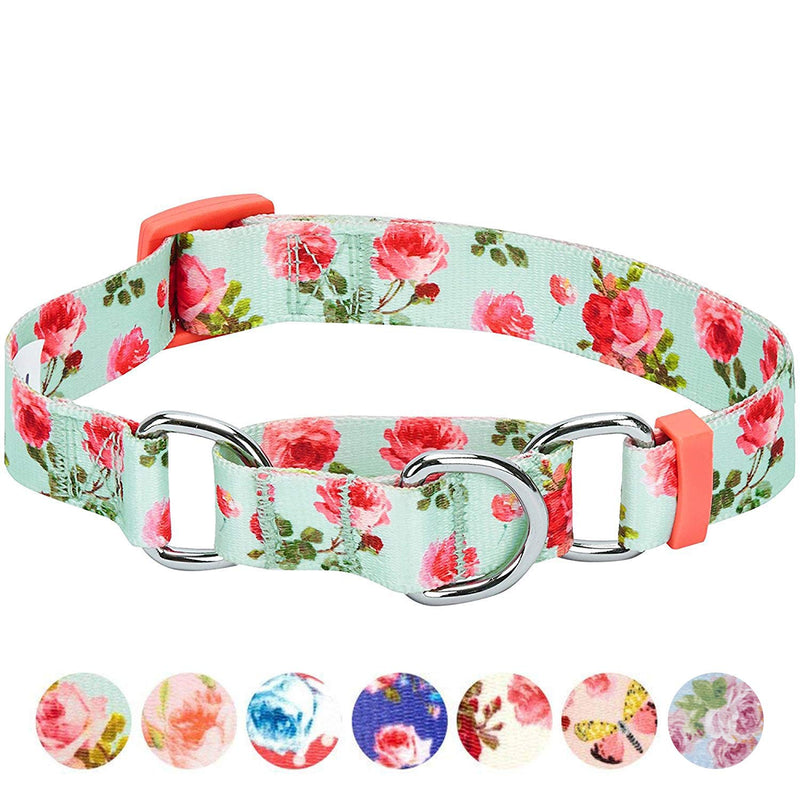 Blueberry Pet Spring Scent Inspired Rose Print Martingale Safety Training Dog Collar, Turquoise, Small, Heavy Duty Adjustable Collars for Dogs - PawsPlanet Australia