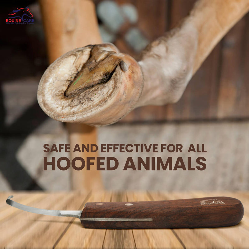 Equine Care Right-Handed Hoof Knife – Razor Sharp Short J2 Steel Blade, Professional Farrier Tool for Horse Hoof Trimming, Goats, Sheep & Livestock | Ergonomic, Rust-Resistant Wooden Handle. Right Handed