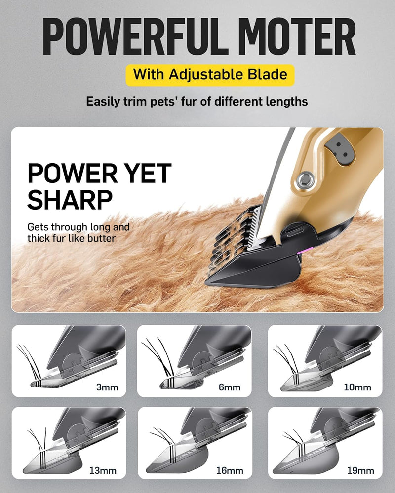 Dog Grooming Kit Low Noise?Cordless 4 in 1 Dog Clippers for Grooming Rechargeable Pet Cat Trimmer with 2 Speed,6 Guards,Scissors,Comb for Small Medium Large Pets Dogs Cats Thick Hair Cutting(Gold) Gold