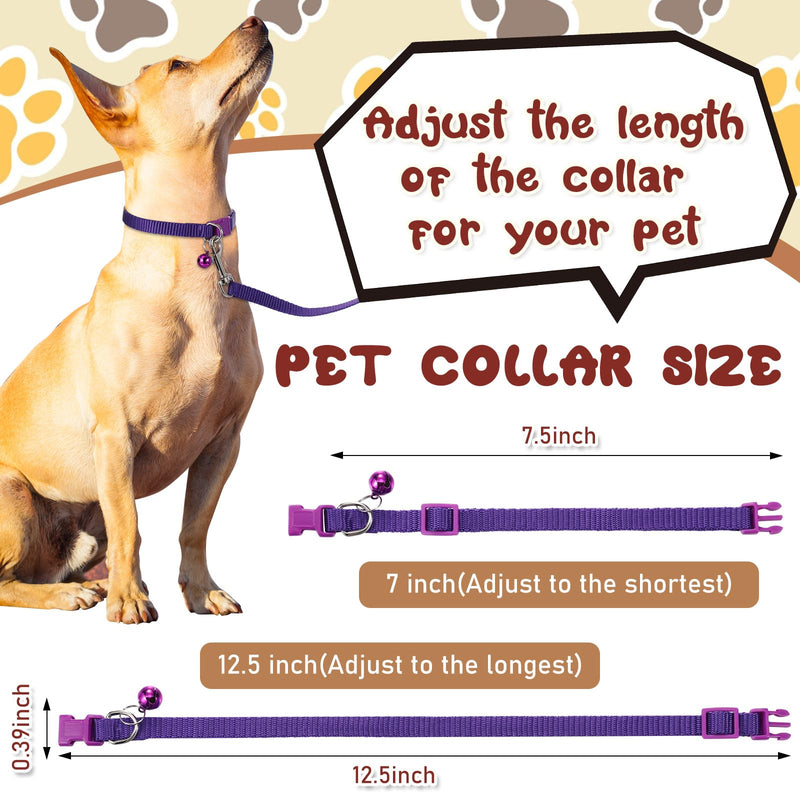 Amylove 48 Pcs Dog Collar and Leash Set, Polypropylene Adjustable Puppy Collars for Medium Dogs Small Pet Puppy Walking Training with Hook and Buckle(Multicolor,Solid Pattern) Multicolor Solid Pattern - PawsPlanet Australia