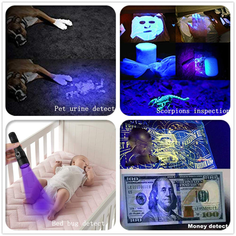 395nm UV Flashlight, Rechargeable Black Light Flashlight, LED Flashlight IP65 Water-Resistant Pet Urine Detector for Dog Cat Stains, Scorpion, Bed Bug, Household - PawsPlanet Australia