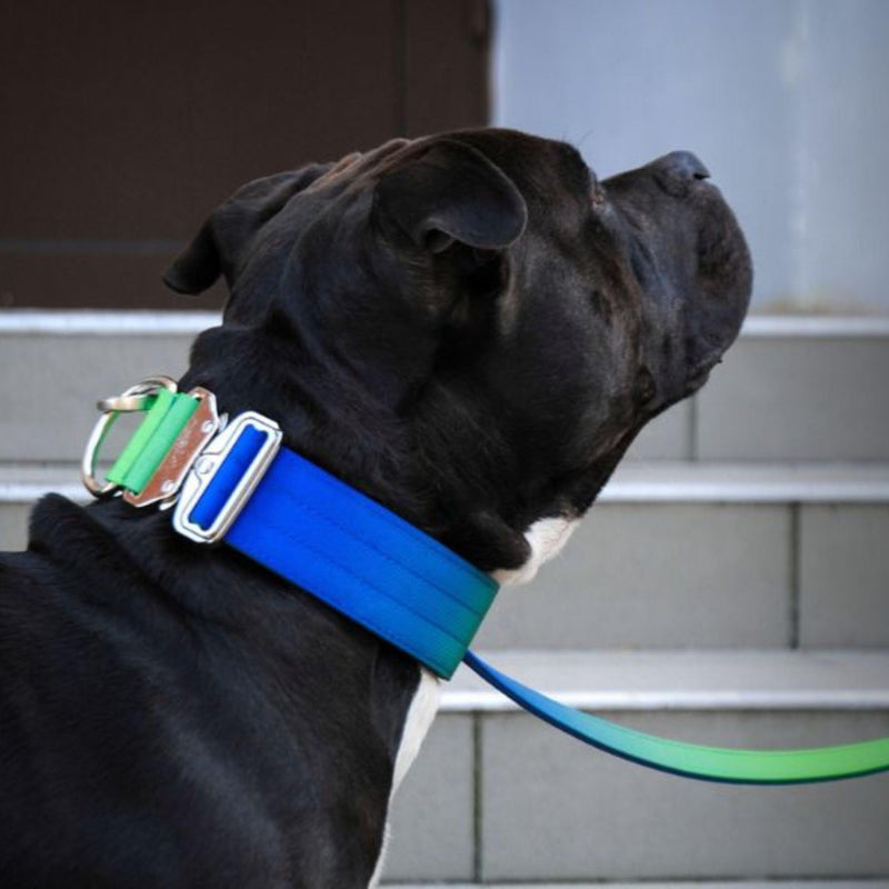 Spark Paws Tactical Dog Collar - Heavy Duty, Premium Quality, Thick and Durable for Large and Medium Dogs - Lime Wave - M M: 50-85 lbs [2" wide] - PawsPlanet Australia