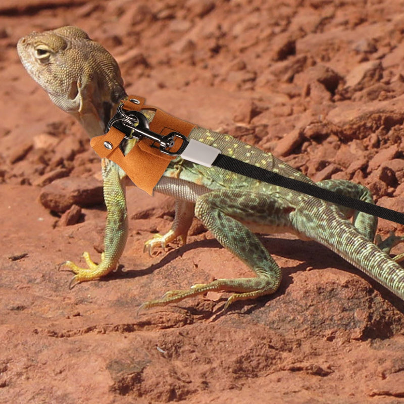 Bearded Dragon Harness and Leash Set, 3 Sizes Super Leather Vest with Retractable Rope, Brown - PawsPlanet Australia