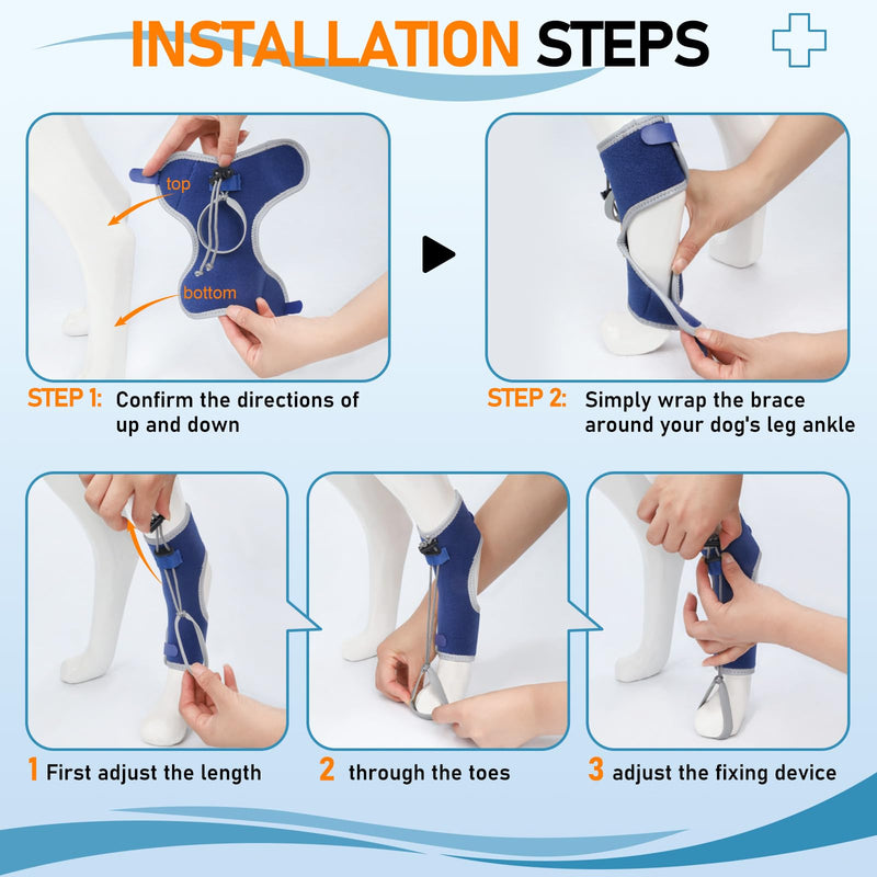 Supet Knuckling Brace for Dogs, Comfortable Foot Splint, Ankle Brace Back Leg for Toe Dragging Cause by Myelopathy, Sciatic Nerve Insufficiency & Herniated Disc (Blue, XL)