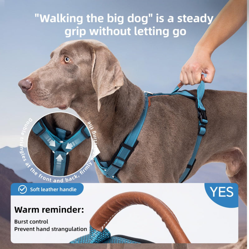 Reflective Dog Harness, Adjustable L-Shape Vest for Small Medium Large Dogs, No Pull Pet Harness for Walking and Training, Enhanced Comfort and Safety (Pack of 1 Blue, S) - PawsPlanet Australia