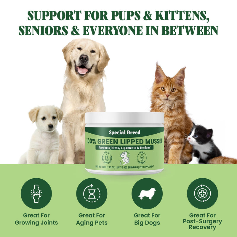 Special Breed Green Lipped Mussel Powder for Dogs & Cats - 100% New Zealand Green Lipped Mussels - Natural Hip & Joint Supplement for Joints, Tendons, Ligaments, Muscles - 200 Grams - 665 Servings