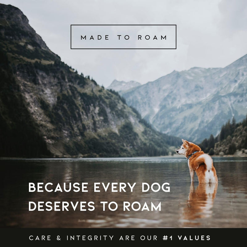 MADE TO ROAM Premium Explorer Leash - Climbing Rope Leash with Autolocking Aviation Aluminum Carabiner - New York Afterlight, 6ft 6 Feet