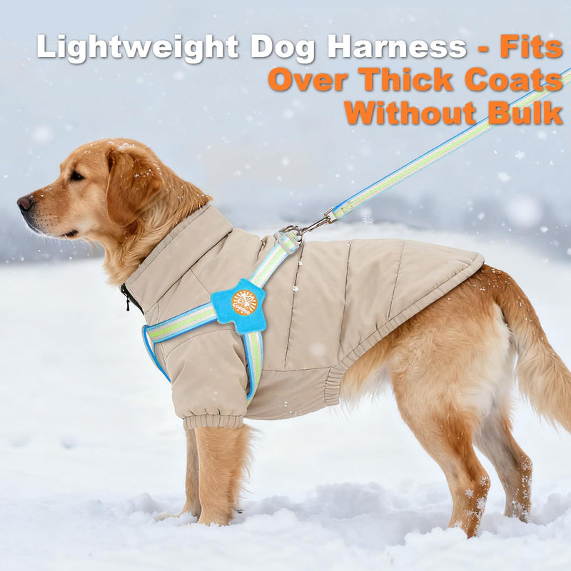 COODEO Anti-Pull Dog Harness with Reflective Strips & Breathable Padding & Anti-Escape Design, Quick Adjustable Dogs Training & Walking (Blue, S) Blue - PawsPlanet Australia