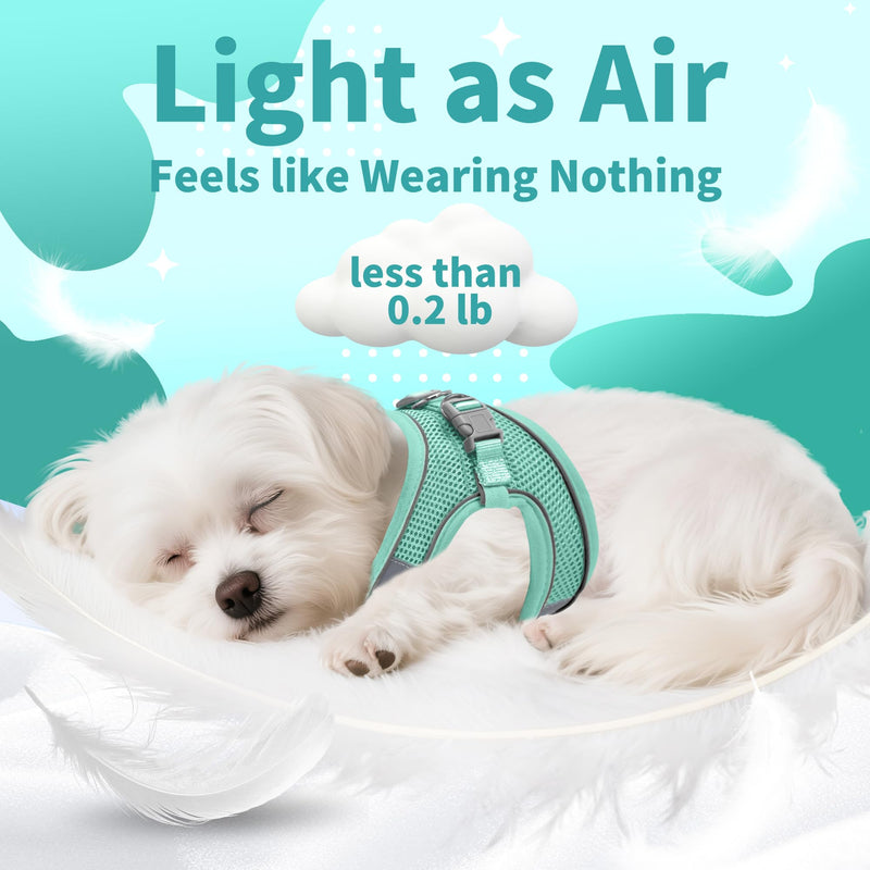 AIITLE No Pull Dog Harness and Leash Set, Step in Adjustable Dog Harness with Padded Vest for All Weather, Dog Leash with Soft Padded Handle, Easy to Put on Small and Medium Dogs Pure Turquoise S S(Chest: 13.5 - 16") - PawsPlanet Australia
