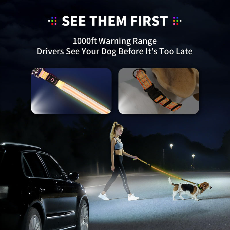 PetIsay Night Walking LED Dog Leash - 6FT Reflective & Waterproof Light Up Safety Leashes for Dogs - USB Rechargeable, Orange 6 feet Orange(Fiber optic version) - PawsPlanet Australia