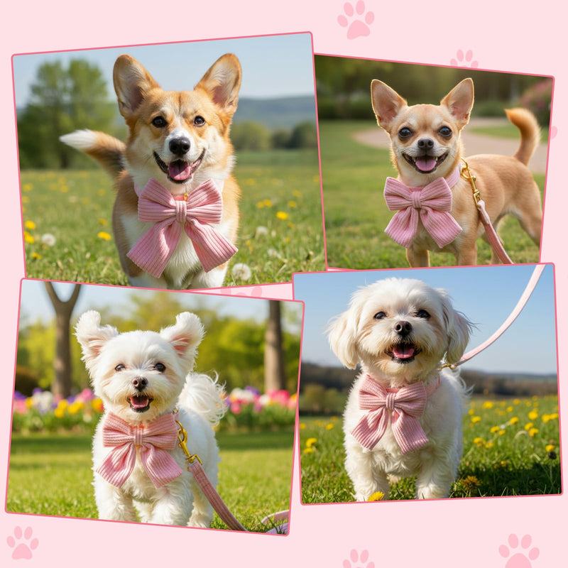 Dog Collar and Leash Set with Bowtie, Pink Cute Girl Dog Collars Bow Metal Buckle Adjustable Corduroy Dogs Collar 10‘’-16‘’for Small Medium Puppy Dogs with 5 FT Leash Pink S - PawsPlanet Australia