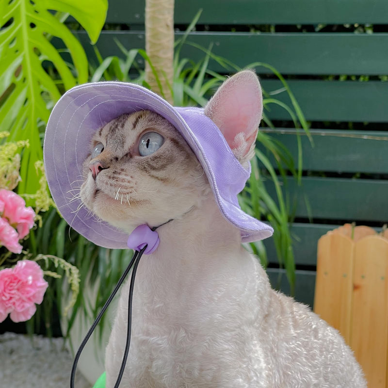 Pet hat with Ear Holes Sunscreen Baseball Cap Suitable for Small and Medium-Sized Dogs Outdoor Climbing hat in Summer Pet Products (Small, Purple) - PawsPlanet Australia