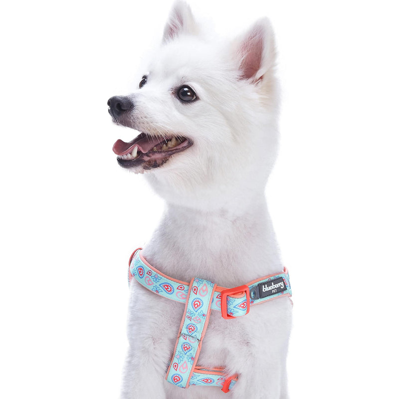 Blueberry Pet 5 Colors Soft & Comfy Step-in Paisley Flower Print Dog Harness, Chest Girth 16.5" - 21.5", Pastel Blue, Small, Adjustable Harnesses for Dogs Small (16.5" - 21.5") Chest Girth - PawsPlanet Australia