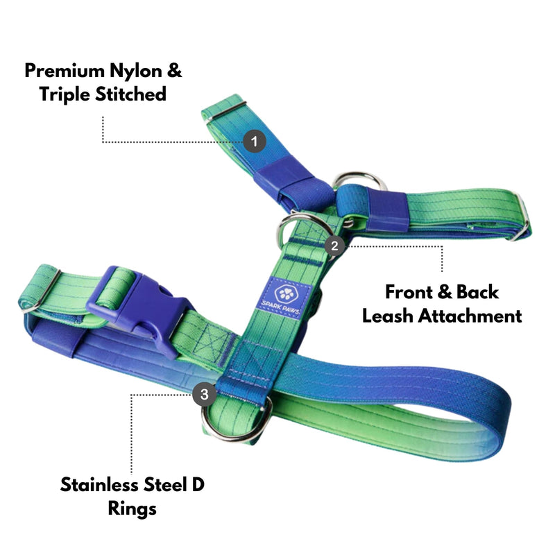 Spark Paws No Pull Dog Harness for Large Dogs, Heavy Duty Dog Harness for Big Strong Breeds, Adjustable, Y Shaped Padded Halter Design with Front Clip - Lime Wave - M Size M [50-85lbs] - PawsPlanet Australia