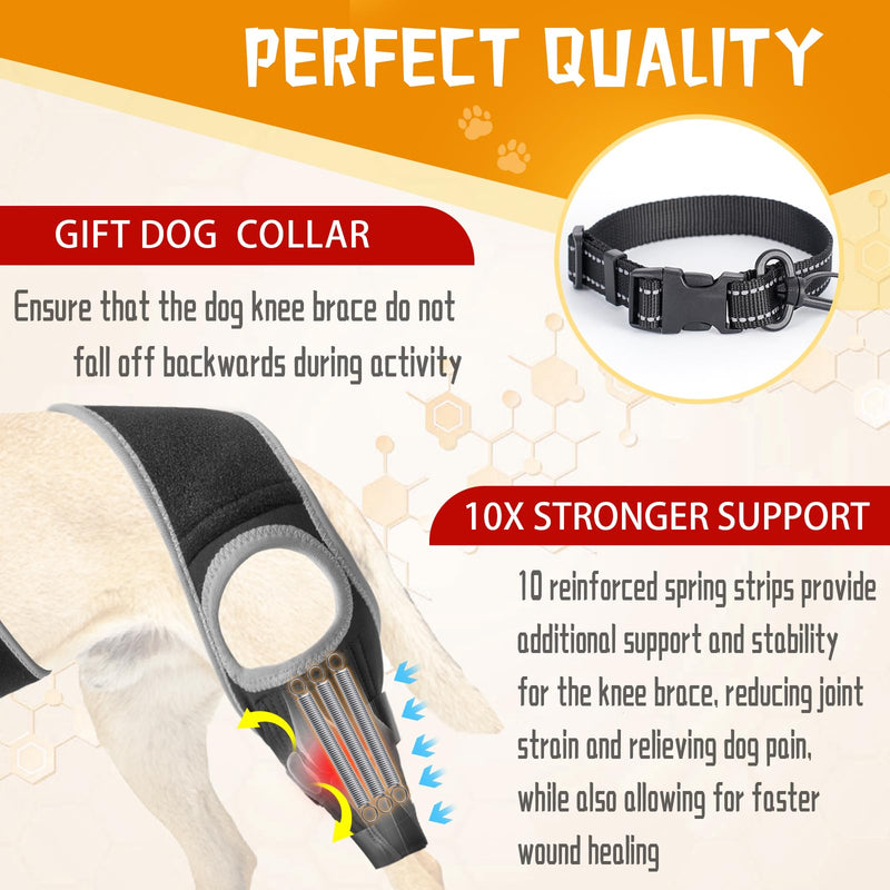 Dog ACL Knee Leg Brace, Dog Hip Brace for Front Torn and Back ACL Hind Rear Legs, Comfortable & Adjustable Tailwind Dog Hip Dysplasia Brace for Dog Arthritis, Luxating Patella with 10X Support (L) L - PawsPlanet Australia