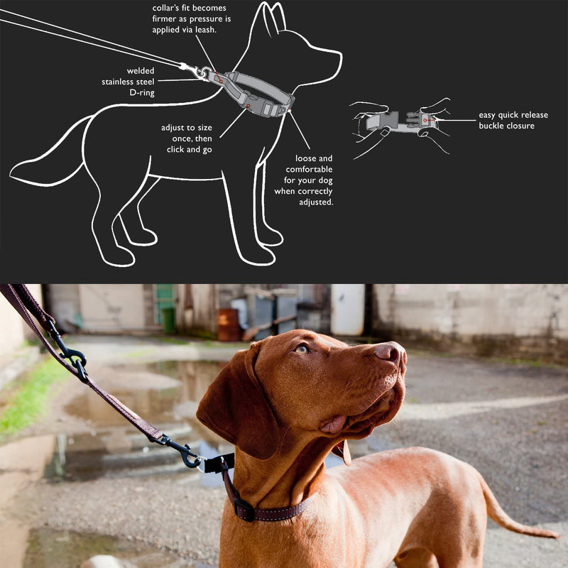 EzyDog Checkmate Martingale Collar for Dogs – Premium Nylon Training Dog Collar for Easy Control with no Choking (Small, Orange) Small