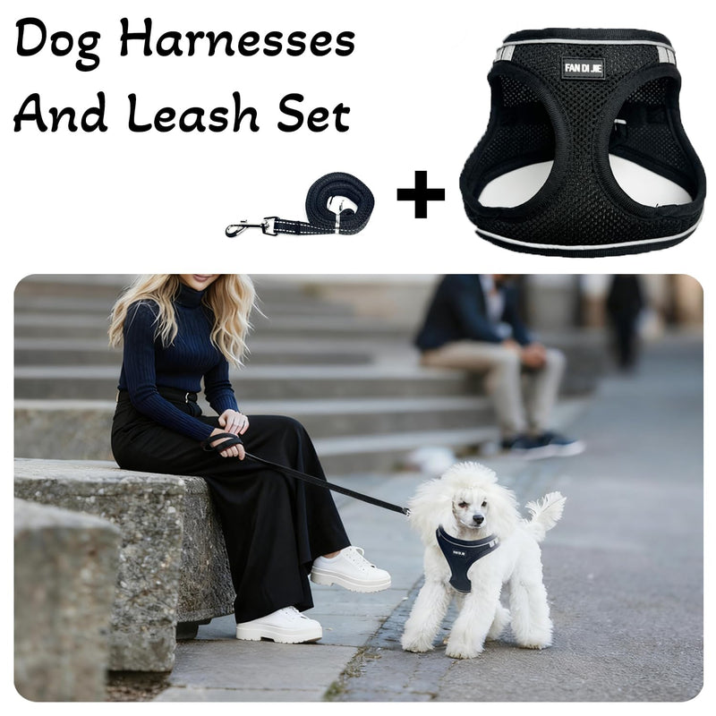 Dog Harness and Leash Set, No Pull Soft Mesh Pet Harness -in Puppy Pet Vest Harnesses for XS,Small,Medium Dogs and Cats Black-XS XS (Chest: 12.5-14") - PawsPlanet Australia