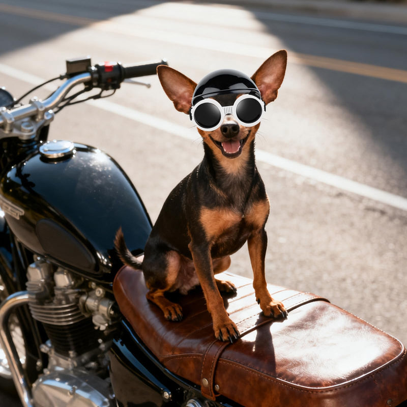 PETLESO Extra Small Dog Goggles and XSmall Dog Helmet, 2Pcs Anti-UV Doggy Sunglasses Cat Motorcycle Protecetive Helmet Set, Chihuahua Safety Hard Hat Outdoor Head & Eyes Protection, White XS Black+White - PawsPlanet Australia
