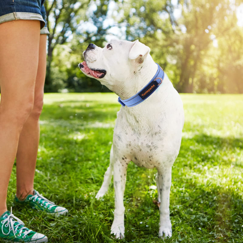 Neoprene Padded Dog Collar, Nylon Collar for Small to Large Dogs, Heavy Duty with Metal Buckle, Reflective(Small, Blue) Small(Pack of 1) - PawsPlanet Australia