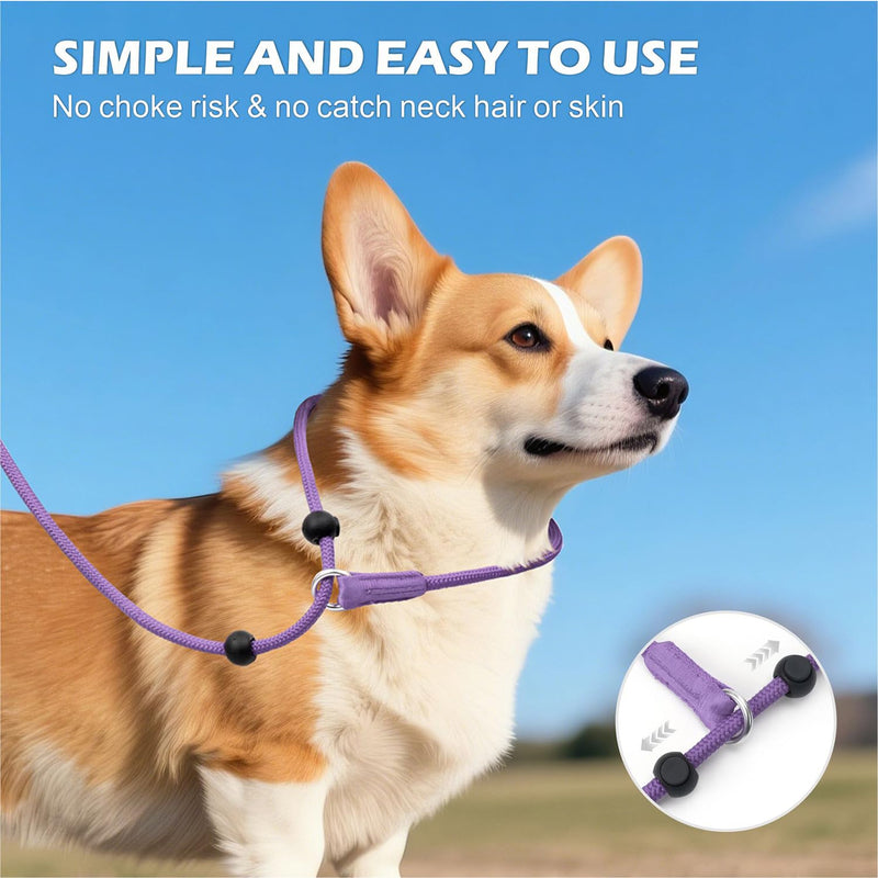 6FT Slip Lead Dog Leash with Double Padded Handle, Anti-Tangle Slip Leads for Dogs, Reflective Nylon No-Pull Training Leash for Small Medium Dogs, Purple 6 Feet - PawsPlanet Australia
