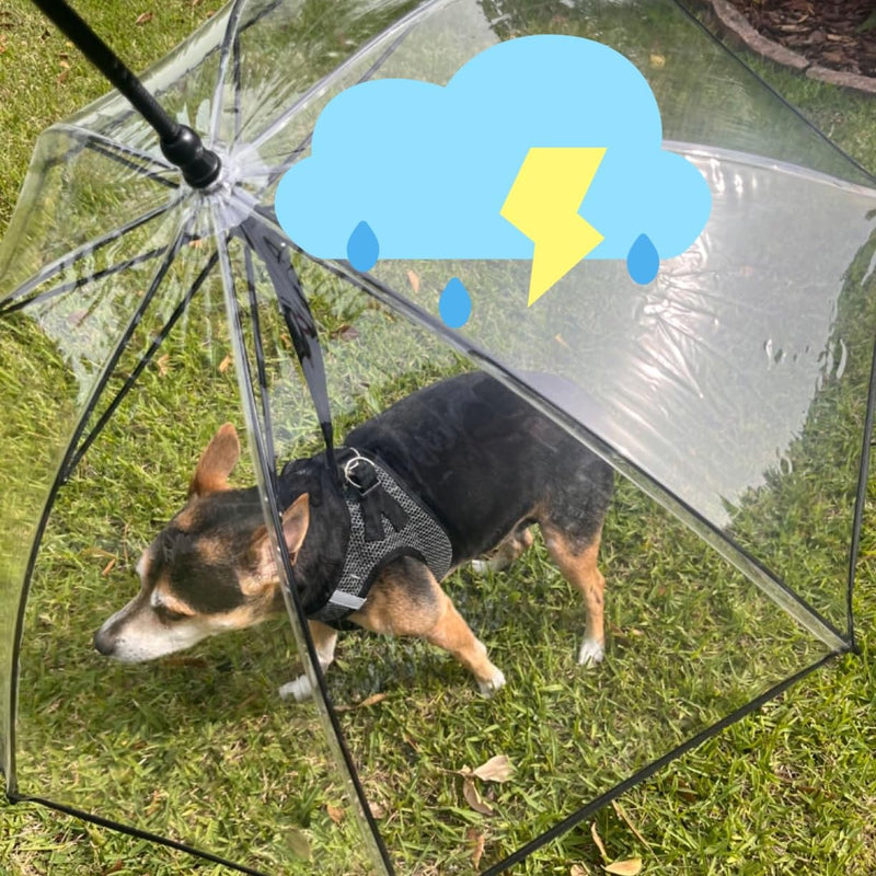 NAMSAN Dog Umbrella for Small Dogs, Self-Assembly Dog Umbrella Leash, Clear Doggie Rain Umbrella, Puppy Walking Umbrella with Adjustable Leash Type-B