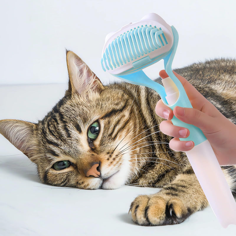 Dry Wet Dual Use Pet Grooming Brush with Spray Bottle, 3 in 1 Comb Removes Loose Hair or Dirt for Cats and Dogs, Double Brush Head Massage Cleaning Bath Tool, 1 Piece Blue