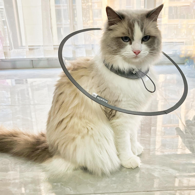 Cat Dogs Cone E Collar with Low Noise Fasteners Glow in The Dark, Transparent Cat Recovery Collar, Licking and Scratching Free Cone, Extra Soft Small Medium Dog Pet Surgery Collar High Grade Grey S (Between 4.4-7.7lb.)