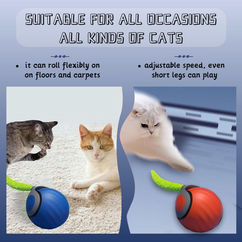 Speedy 2.0 Tail, Speedy Toy Tail Cat, Speedy 2.0 Tail Cat Toy, New Interactive Cat Ball Toy, Smart Cat Toys Ball, Moving Cat Toy Ball with Tail, Two Speed Adjustment (Blue) Blue - PawsPlanet Australia
