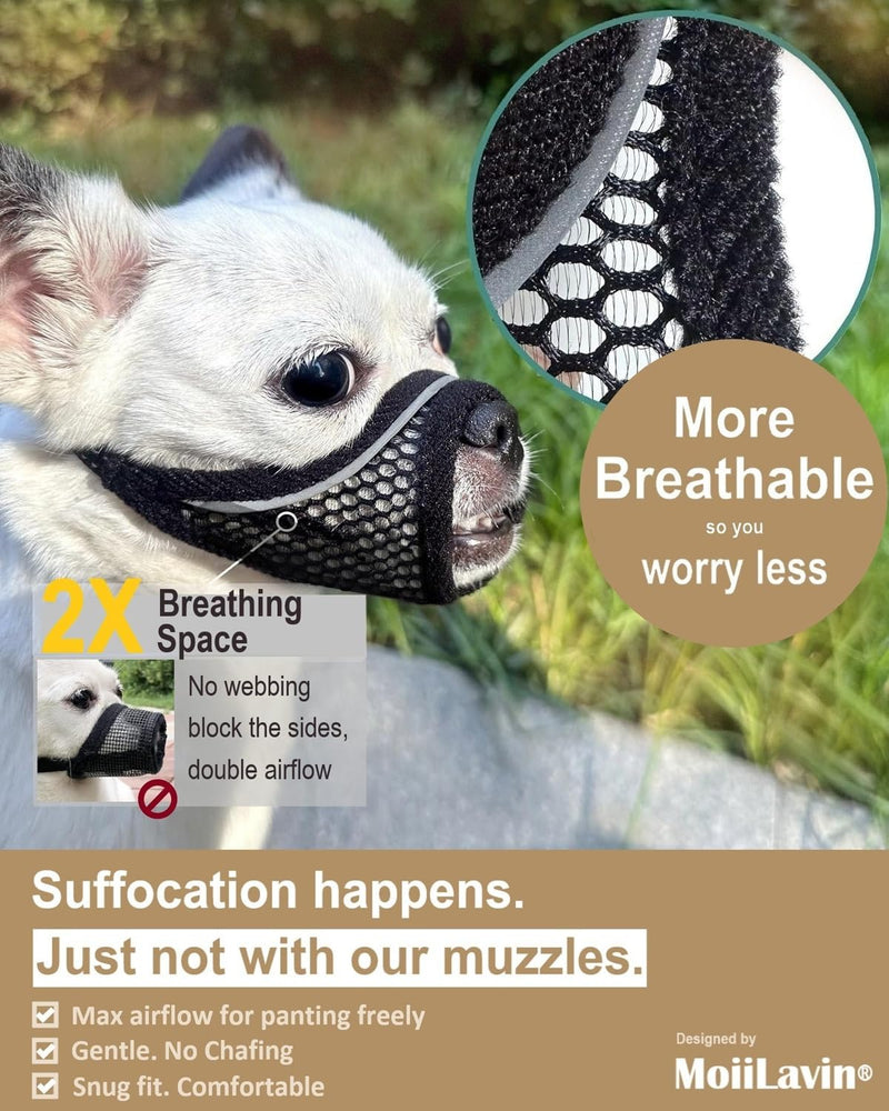 Dog Muzzle for Small Medium Dogs to Prevents Biting for Brachycephalic Dogs,Chihuahua Pom Shih Tuz,Short Snout Friendly,Soft Breathable Lightweight Mesh,Open Front,for Grooming Vet Visits (Black, XS) Deep Black XS Snout (5.3"- 5.7") - PawsPlanet Australia