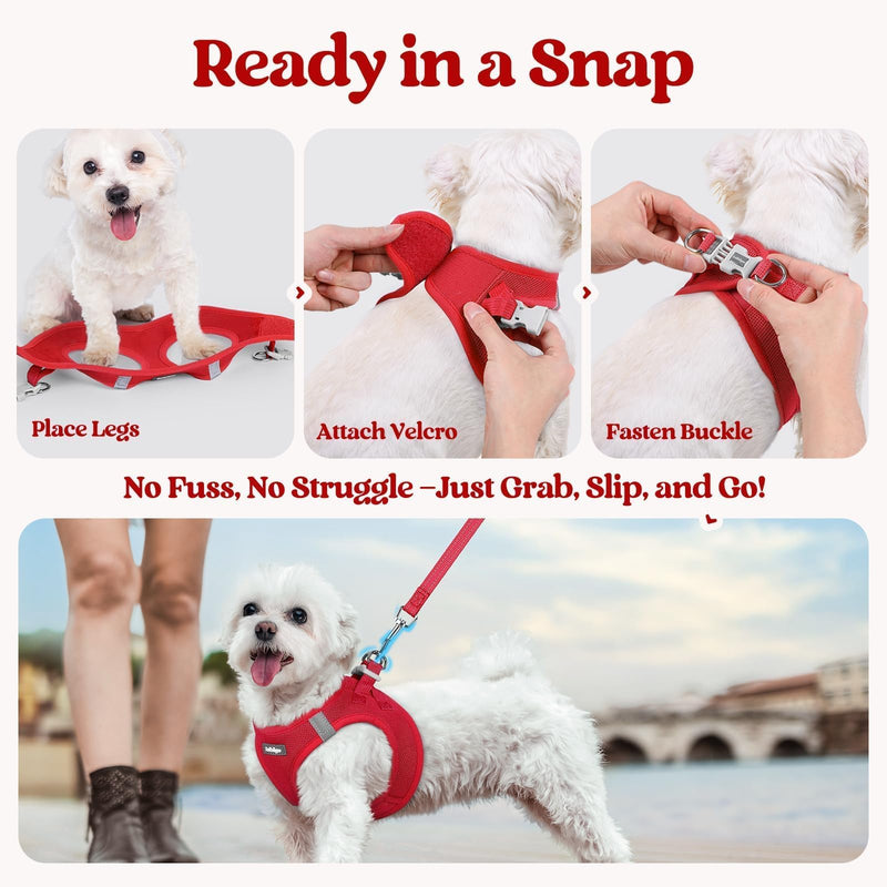 rabbitgoo Dog Harness Small Sized and Leash Set, Step in Soft Light Puppy Vest, Breathable Mesh Pet Harness, Reflective for Safe Easy Walking, Red M M (Chest: 16 - 18.5") - PawsPlanet Australia