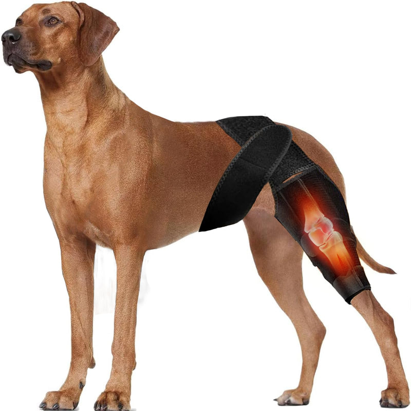 Dog Knee Brace for Torn ACL Hind Leg, Front Back Leg Support with Side Stabilizers Vet-Recommended Dog Joint Protection Arthritis Pain Relief Recovery Brace for Small Medium Large Dogs L Black