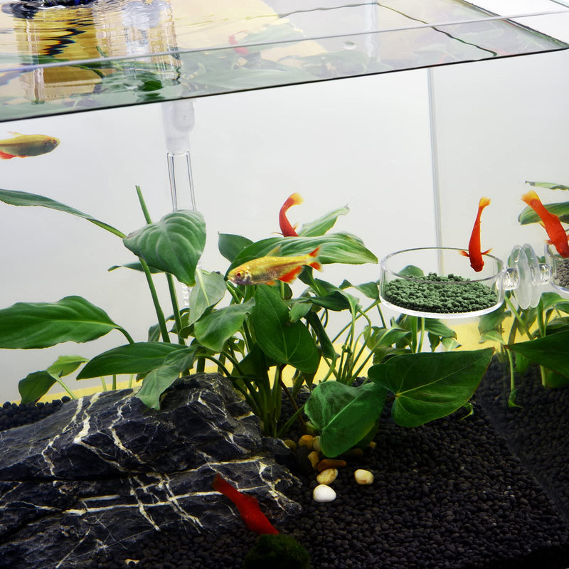 Dannisly Aquarium Glass Feeder Dish Shrimp Feeding Dish Clear-Round - PawsPlanet Australia