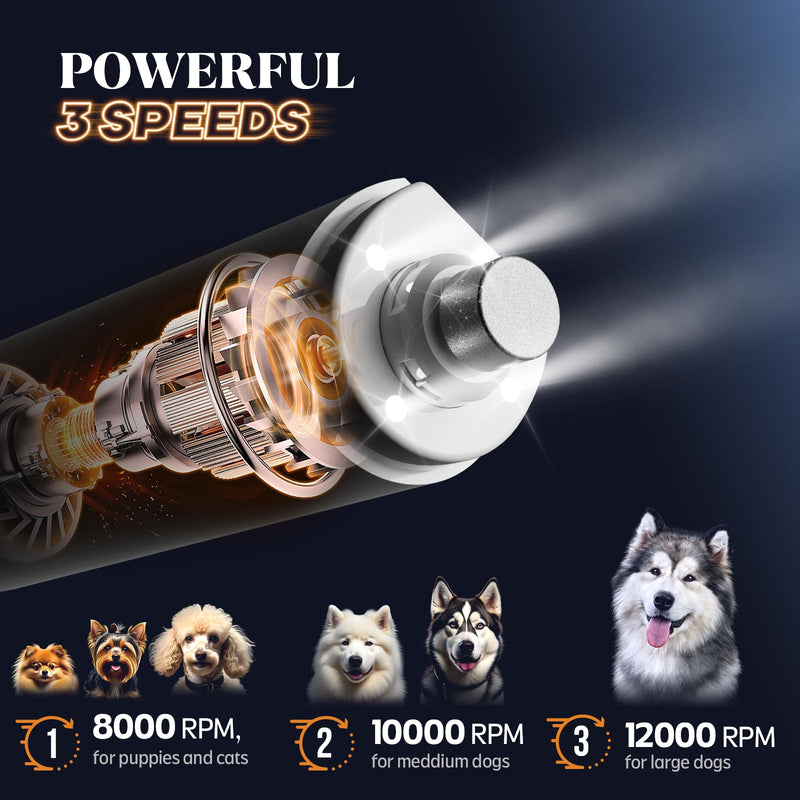YABIFE 4-Lights Dog Nail Grinder, Easy Quick Locate Dog Nail Trimmers, for Puppy Paw Toenails or Pets from Small, Medium to Large, with Travel Lock, Whisper Quiet, Heavy Duty 3 Speeds C - White - PawsPlanet Australia