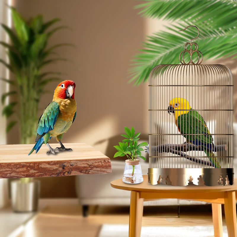 Bird Toys Parakeet Perch Budgie Perch Wood Stand Fork Toys Multi-Branch Perch Platform Toy for Small Conures,Cockatiel,Parrotlet,Lovebird,Parrot,Finches - PawsPlanet Australia