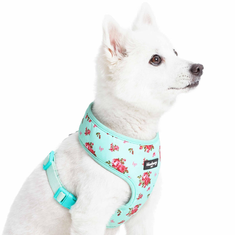 Blueberry Pet Floral Dog Vest Harness, Turquoise, X-Small | No Pull, Lightweight & Comfy Fit for Puppies and Small Breeds | Award-Winning Design for Girl Dogs - PawsPlanet Australia