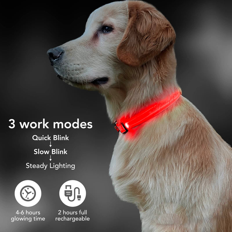 Light Up Dog Collars, LED Dog Collar Rechargeable Waterproof, Full Adjustable Lighted Dog Collar, Glow Dark Dog Collar Light for Night Walking for Small Medium Dogs (Red) Red - PawsPlanet Australia