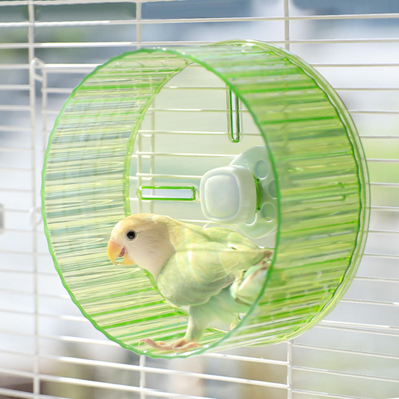6.8-inch Parrot Silent Running Wheel, Parrot Exercise Wheel, Birds, Parrots, Turtles, Hamsters, Small Animal Quiet Running Wheel (Green) - PawsPlanet Australia
