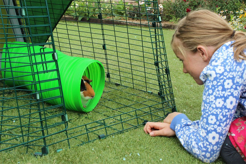 All Weather Flexible Bunny Warren Fun Tunnel, Green (Package May Vary) 1 - PawsPlanet Australia