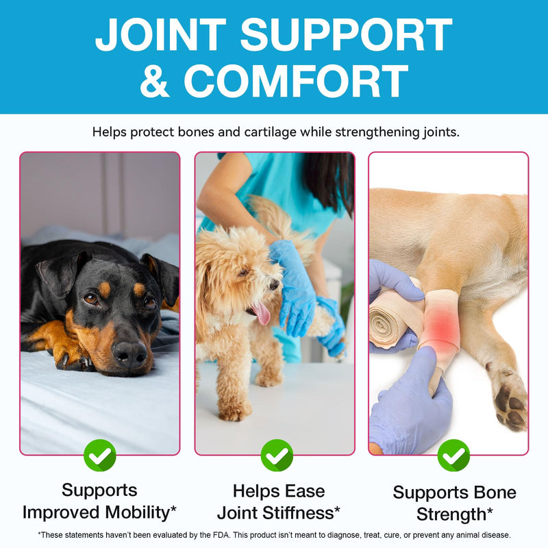 Dog Hip and Joint Supplement, Glucosamine for Dogs, Chondroitin Drops for Dogs, Pain Relief for Dogs, Dog Supplement for Joint Health, Mobility Pain Relief, Bacon Flavor-2 Oz/60ml - PawsPlanet Australia