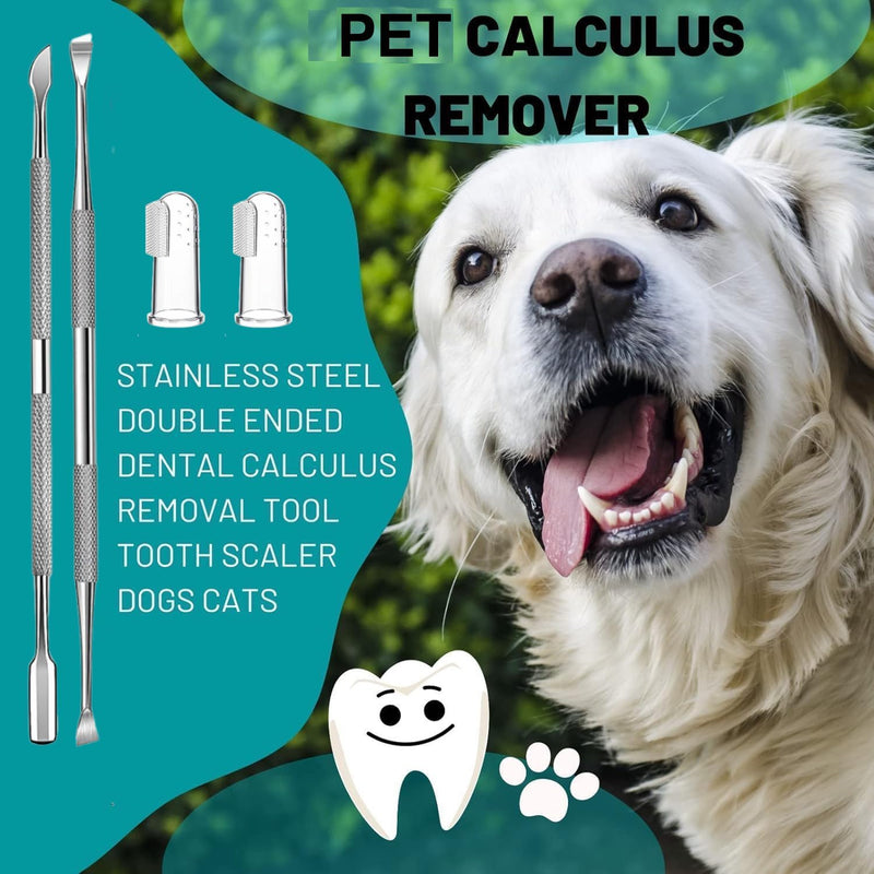 8 Pcs Dog Tartar Remover Pet Teeth Cleaning Tool, Cat Plaque Off Calculus Remover, Dog Tooth Scaler and Scraper, Stainless Steel Dental Forceps for Dogs and Cats Oral Care - PawsPlanet Australia