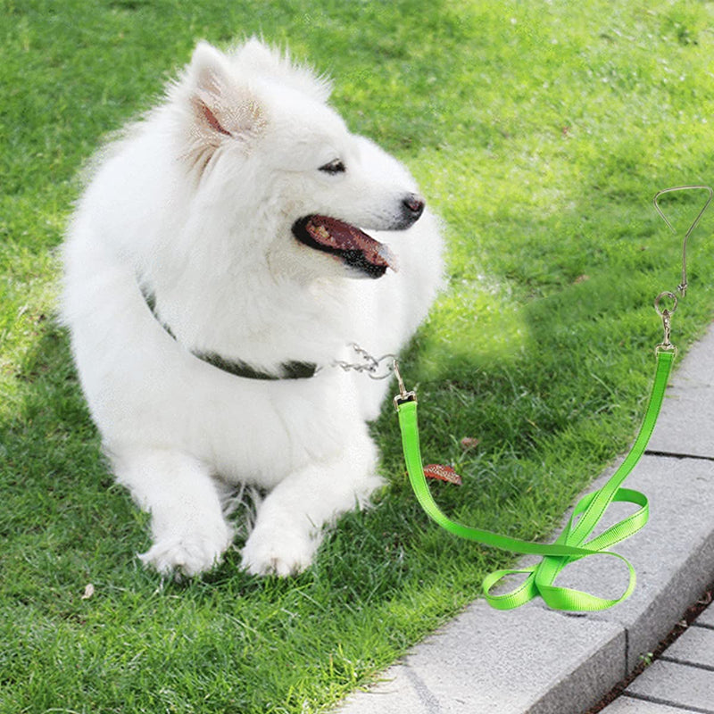 Tie Out Dog Leash, 6 FT Nylon Dog Tether 1" Wide Reflective Thick Lead Heavy Duty for Medium Large Dogs Indoor Outdoor Front Yard Camping (Green) 6ft x 1 in Green - PawsPlanet Australia