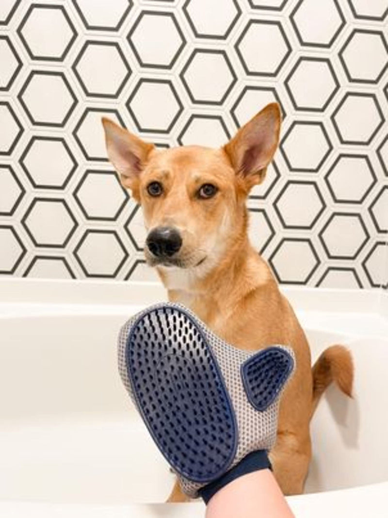 Magic Coat Professional Series Love Glove Dog Grooming Mitt - PawsPlanet Australia