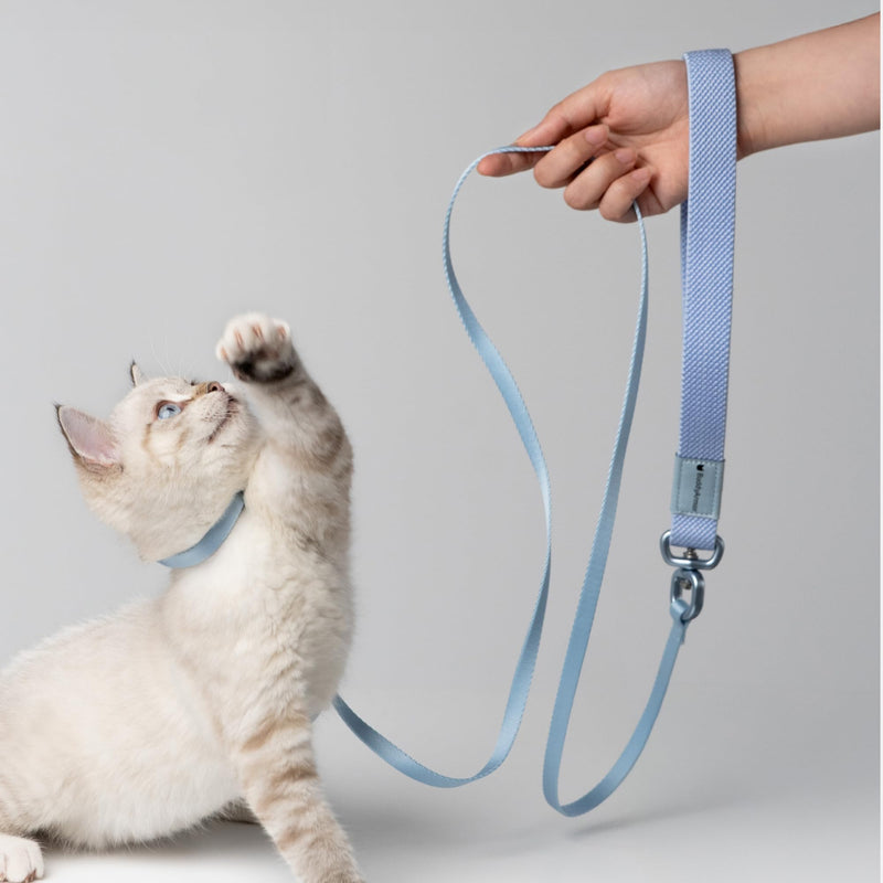 Cat Harness and Leash 2-in-1, Escape Proof Anti-Chocking Harness Adjustable Lighweight Leash for Walking Outoor Training for Kitten Small Large Cats Puppy, US IDA Bronze Award (Sierra Blue) Sierra Blue - PawsPlanet Australia