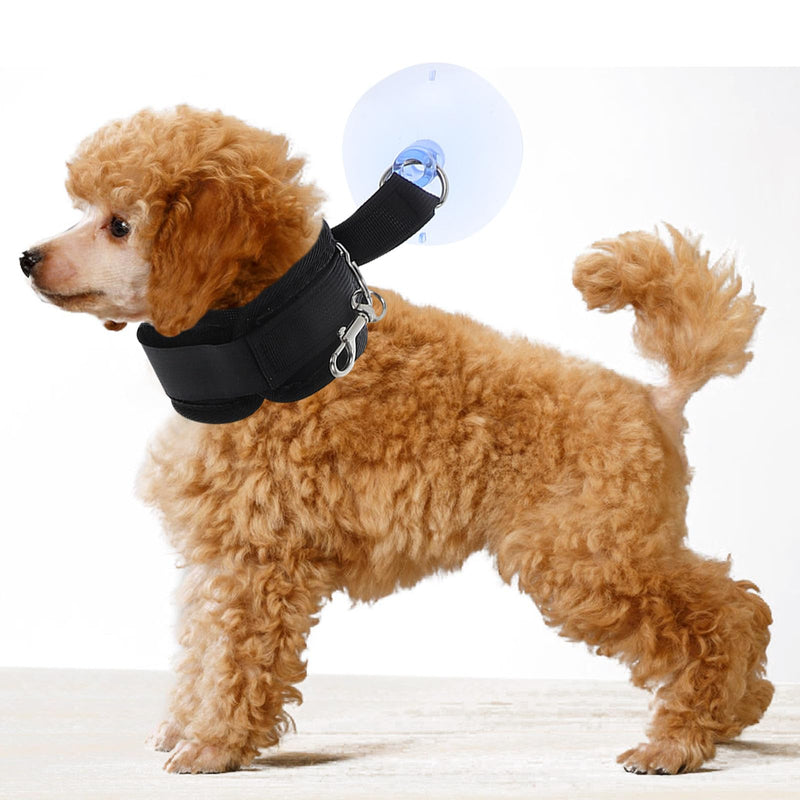 SOLUSTRE grooming holder with suction cup for coat and nail care of cats and dogs, adjustable, nylon, perfect for puppies and pets, for use during bathing and nail trimming