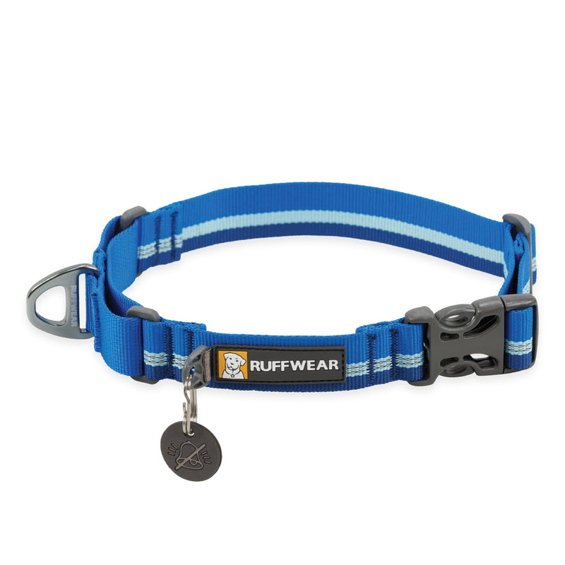 Ruffwear, Web Reaction Dog Collar, Martingale Collar for On-Leash Walking, Blue Pool, 14"-17" 14"-17"