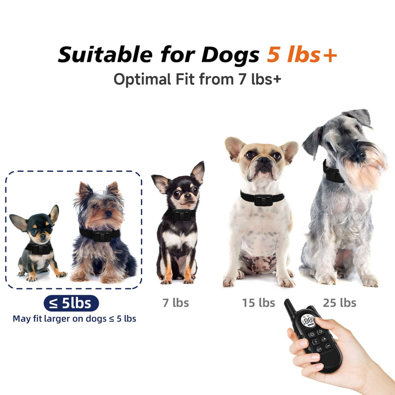 Tiniest Dog Shock Collar, Lightest Dog Training Collar with Remote for Small Dogs 5-15lbs & Medium Large Dogs/Puppies, Waterproof, Rechargeable, 1300ft Range (Black&Ultra Tiny) Black Ultra Tiny
