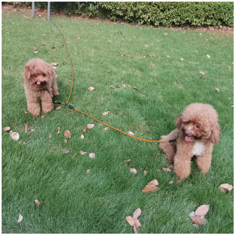 BTINESFUL 12FT 20FT 30FT Reflective Dog Tie Out for 2 Dogs, No Tangle 1/3 Inch Nylon Rope Tether for Two Dogs, Dog Trolley Runner for Yard Outdoor Camping Orange 12 ft x 1/3" - PawsPlanet Australia