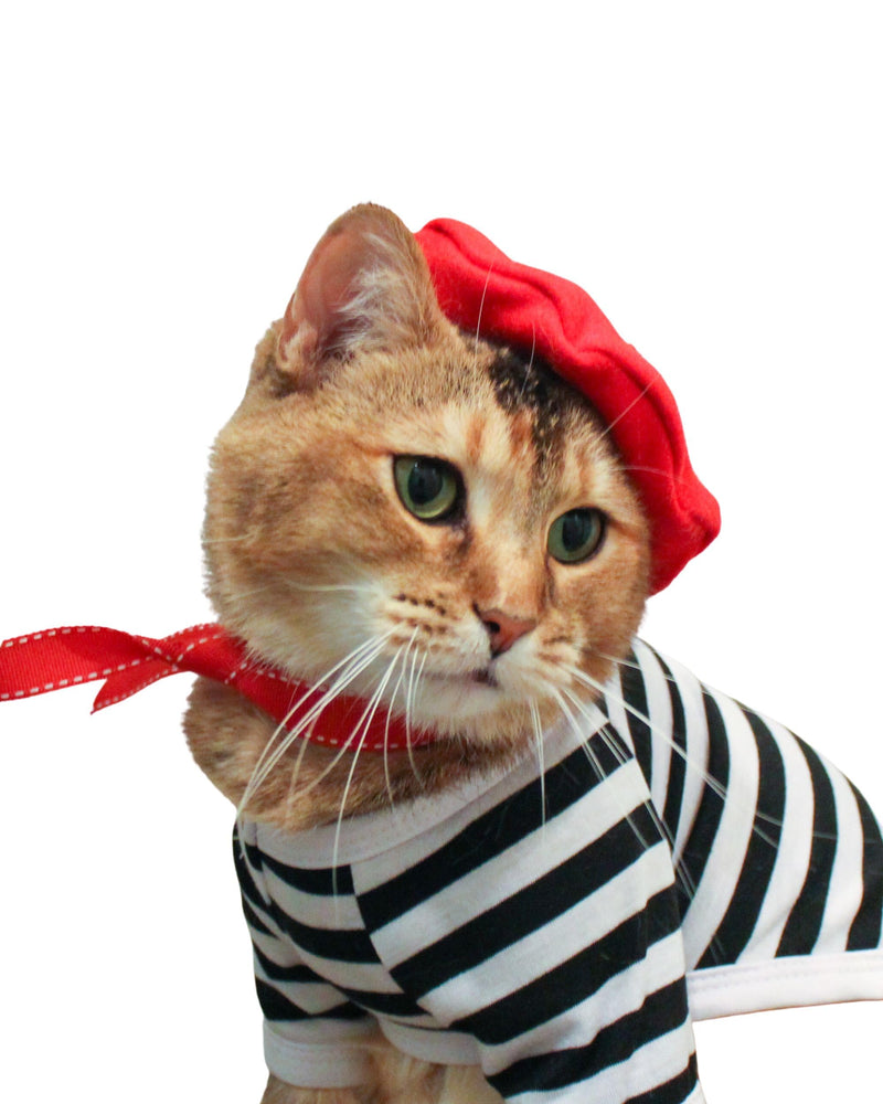 Cat and Human MATCHING berets! Twinning with the feline, with or without full french outfit! (Medium) Medium - PawsPlanet Australia